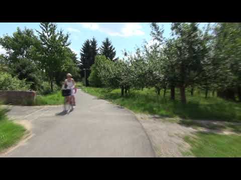 Route von Großostheim nach Mosbach