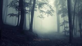 Rogue - Through the dark (remix original 2019)