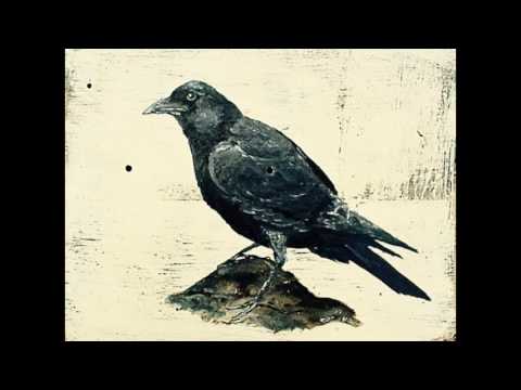 The Sundown Crows - Bryan Yurgelis and the Winter Shakers