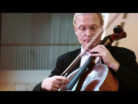 CELLO-LOOP | Stephan Schrader | Bace