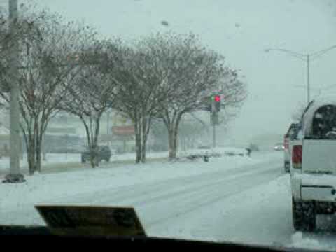 2 Dogs taking a stroll down Virginia Beach Blvd.