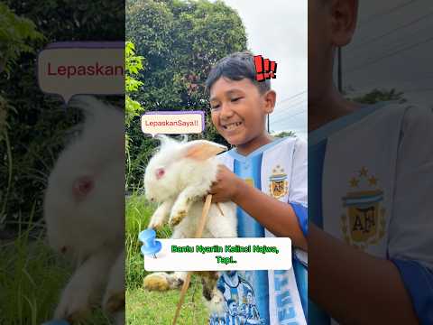 Bantu nyariin kelinci Najwa, Tapi …🤤 #wg25 #Hiburan #go #funny #fyf #sketsakomedi #bocah #petualang