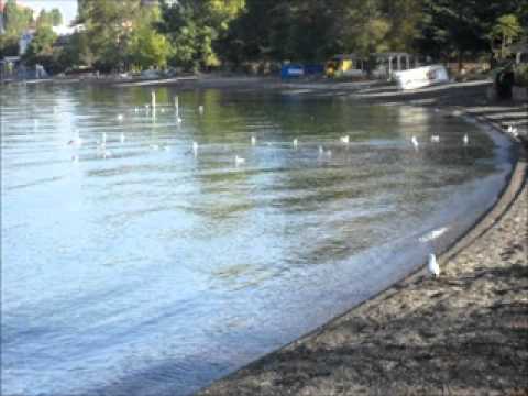 Naroden orkestar na MRT - Ohridska fantazija [vo zivo]
