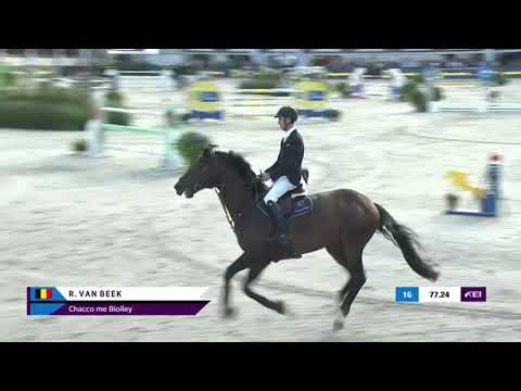 Chacco Me Biolley- Grand Prix “FEI Sires of the World” - 2021