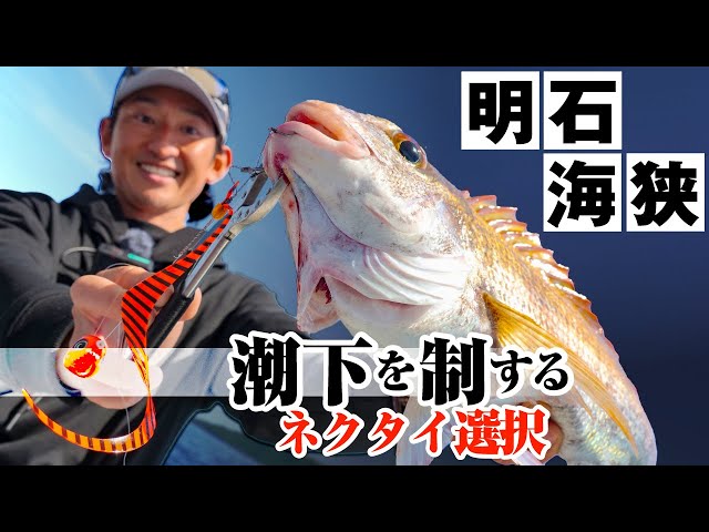 Jackal Nektie Curly 4pc/bag/ شرائط جاكال برائحة وط...