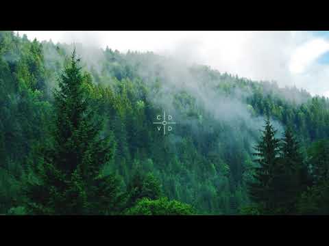 6HOST ft  cøzybøy – FINAL BREATH