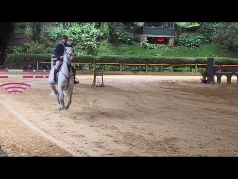 Rahmannshof’s Caruso & Nicolás Flórez (primera calificativa Camp. Int 2017)