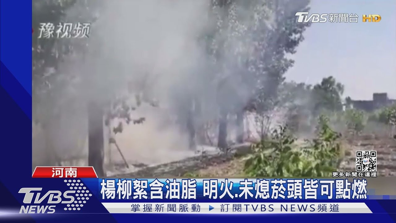 賠慘！講電話太無聊玩火燒楊柳絮　陸男毀逾30輛轎車