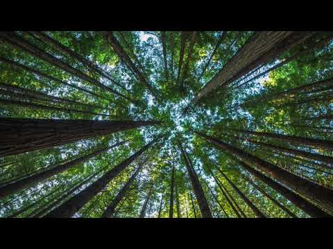 Abraham Hicks Explains How Esther Got Sick