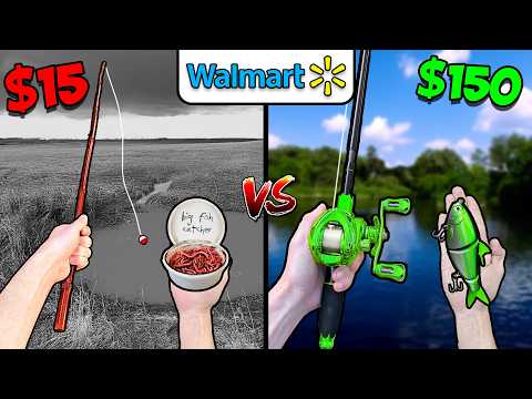 $15 vs $150 Walmart Budget Fishing Challenge