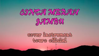 Download lagu 'CINTA MERAH JAMBU' VIRAL TIKTOK [COVER INSTRUMENT VERSI JOGET LAMBAK BY TOURO ] mp3