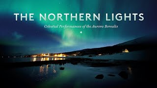 Singh Kaur - Spark In The Night (Northern Lights)