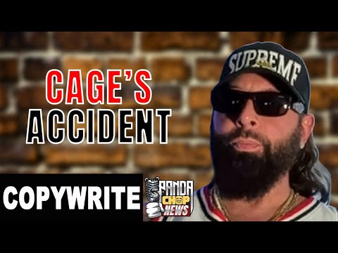 PANDA CHOP! News and COPYWRITE