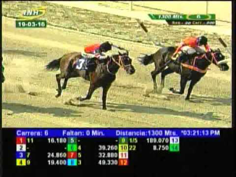 Resumen Sábado, 19 de Marzo de 2016 - La Rinconada