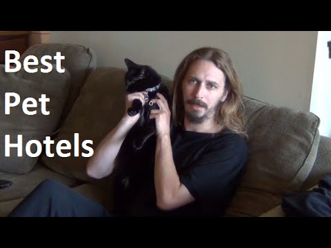 Best Hotels For Pets!
