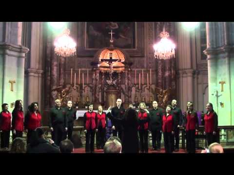 Robev Choir BG - "Salve Regina", F.Schubert, Minoritenkirche Vienna 2010
