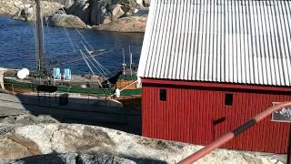 Download lagu Krabbefiske på Svenner fyr Oktober 2011 mp3