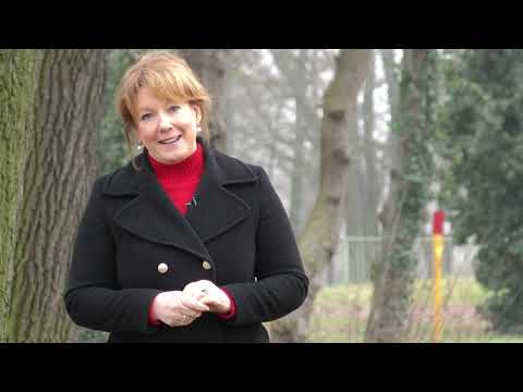 Elsterwerda: Gedanken zum neuen Jahr - LAUSITZWELLE