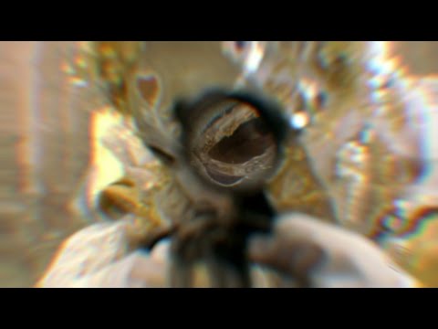 O Canto da Sereia - Revelação de quem matou Sereia