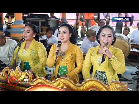 Lcr. Dayohe teko🔸Ngudi Laras live beruk || Deny-R soundsystem