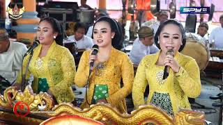 Download lagu Lcr. Dayohe teko🔸Ngudi Laras live beruk || Deny-R soundsystem mp3