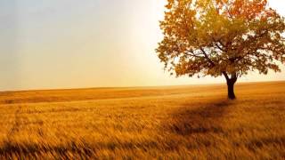 Fabi Silvestri Gazzè - Giovanni sulla Terra (con testo)