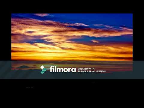 Ionel Ladaru -  Am ales nemarginirea