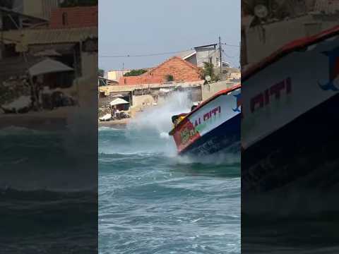 වැඩ්ඩෝ දෙන්නෙක් 😍#like #boating