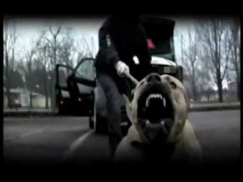 Kartellen ft jacco - prOGramrebeller [GOOD SOUND + LYRICS]