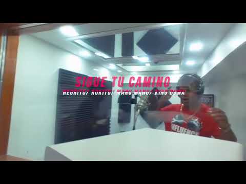 LOBO KING DOWA, EL NEGRITO, EL KOKITO, MANU MANU - SIGUE TU CAMINO - CUBATON