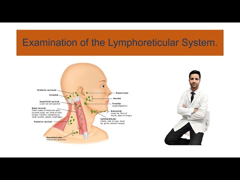 Examination of the lymphoreticular system.