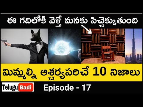 Episode 17 - amazing facts you didn't know - interesting facts