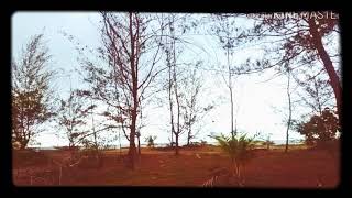 Download lagu 3 BRANDAL 2 MILYAR mp3