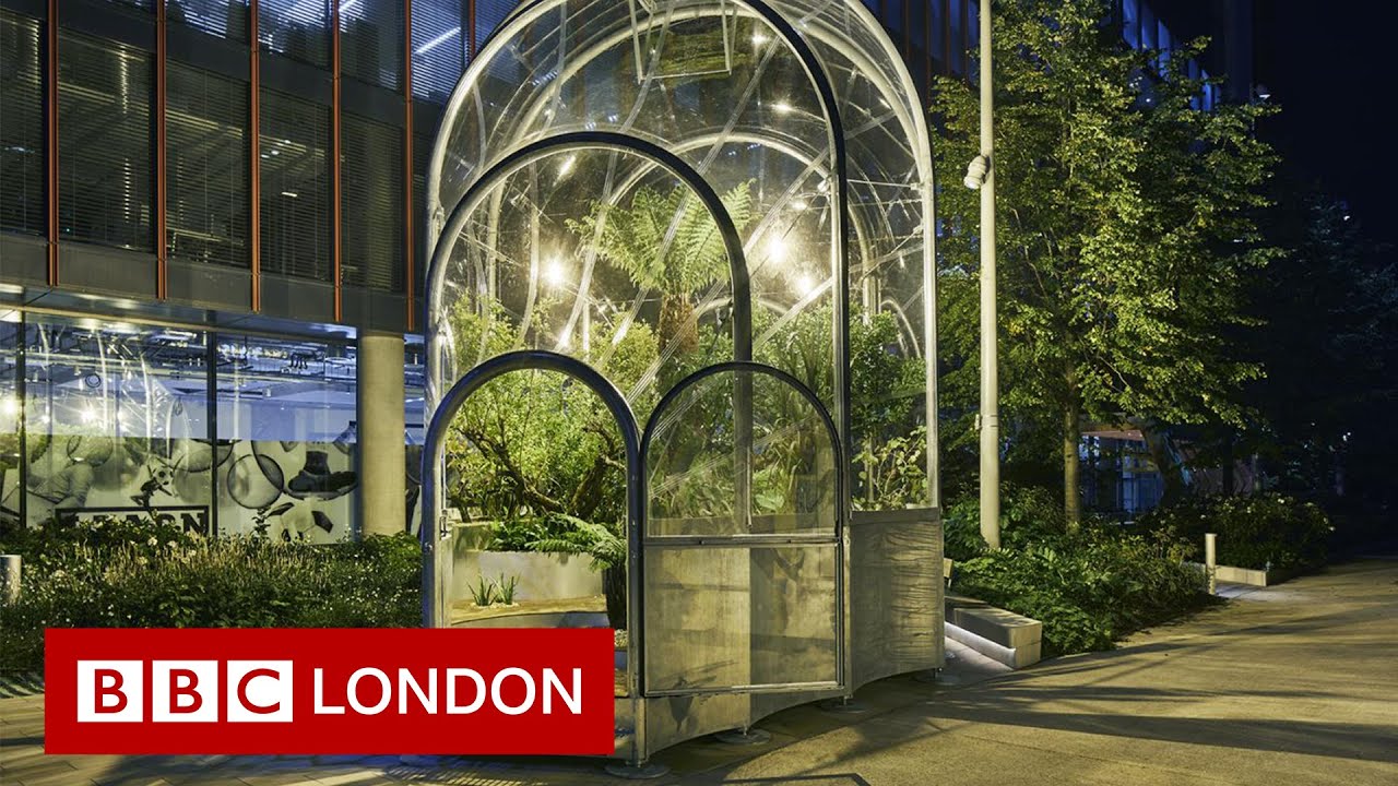 Climate Change: What could Londoners be growing in 2050?