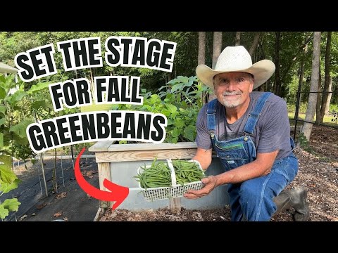 Set The Stage For Fall Greenbeans