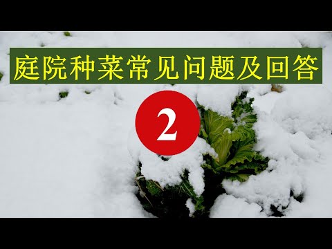 庭院的意思