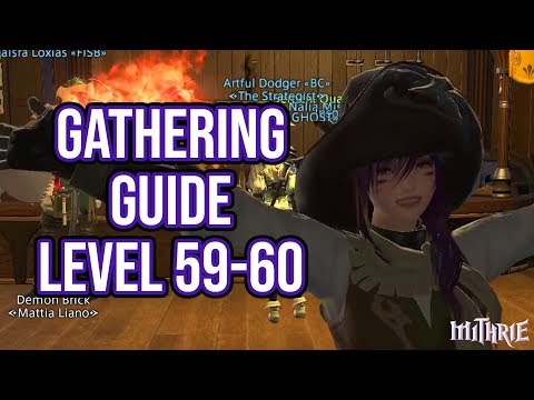 FFXIV 3.0 0690 Gathering Guide Level 59 to 60