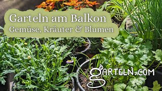 Pflanztipps für den Balkon - Gemüse - Kräuter - Blumen