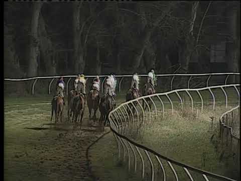 Galoppo 19/01/2019 - 5ª corsa