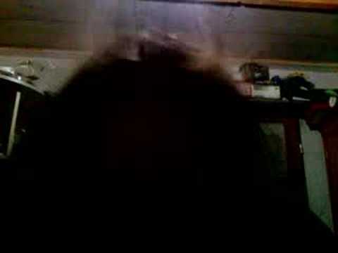 Kaydee.ch    Arab-headbanging Arab-metal