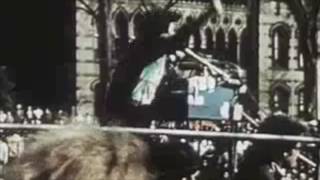 The Handsome Beasts - All Riot Now