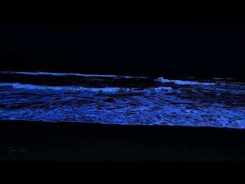 24 Hours Of Oversleeping With Ocean Wave Sounds For Deep Sleep at Night - White Noise Therapy