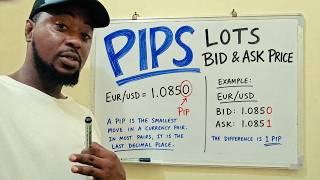 Explaining What is Pips, Bid & Ask Price, Lots in Retail Trading