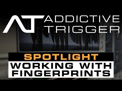 XLN Audio Addictive Trigger + Drum Vault Bundle | Reverb