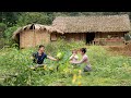 Happy Life of Difficult Mountain Family, Gardening & Harvesting, Cooking Traditional Village Dishes