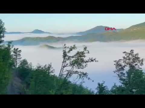 Milli parkta sis güzelliği