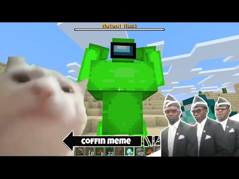 Coffin Meme Among Us but Cat is Vibing - Minecraft