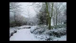 Richard Lane Say no more with lyrics