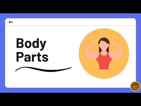 Body Parts in Malay | Spoken Malay Vocabulary for Beginners