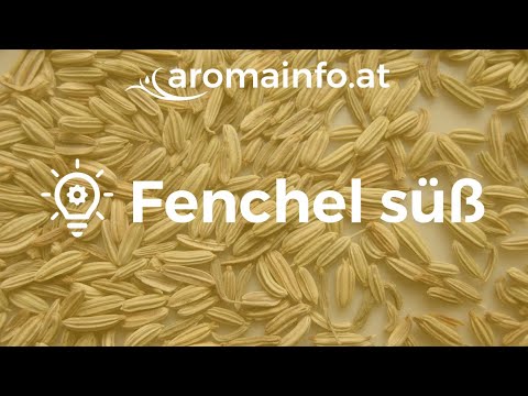 Fenchel süß - der Krampflöser